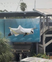 💔Lolita, sa vie en quelques données.... 💔