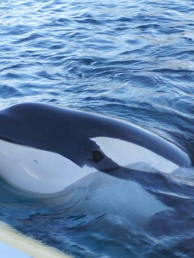 250702_epaulard2_original