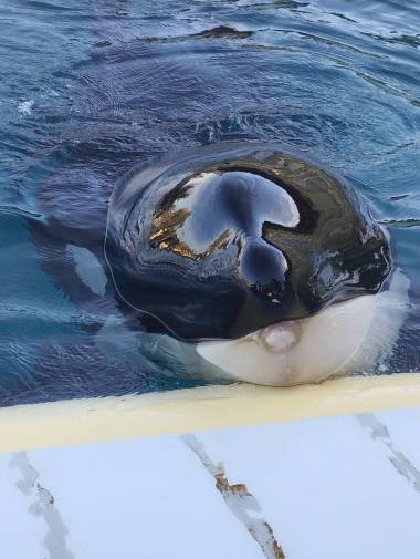 250702_epaulard3_original