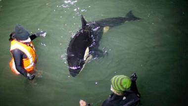 250711_toa1_original