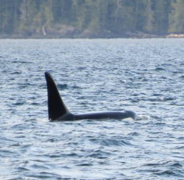 250714_journeeorques4_original