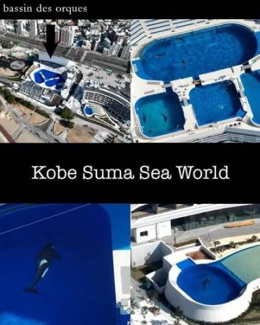 250720_marineland1_original