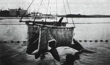 250724_kim1_original