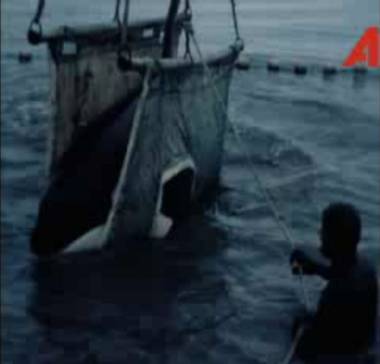 250724_kim3_original