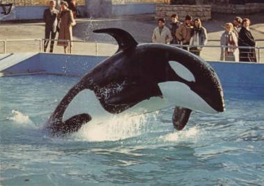 250724_kim4_original