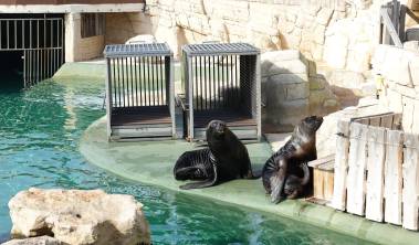 250728_isidore1_original