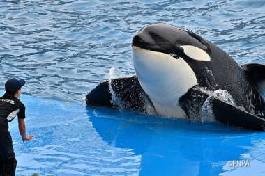 250803_earth1_original