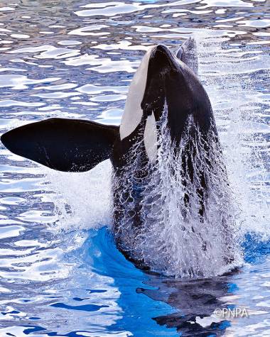 250803_earth2_original