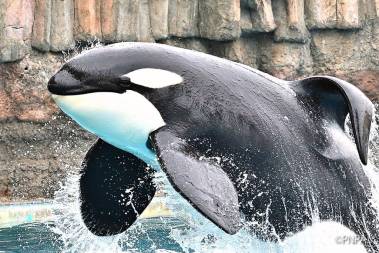 250803_earth3_original