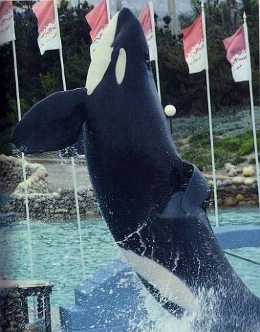 250808_capture3_original