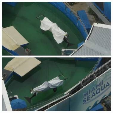 250818_lolita1_original