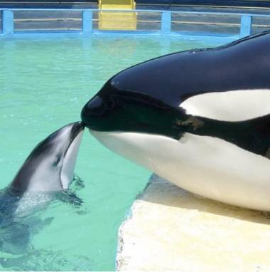 250818_lolita3_original