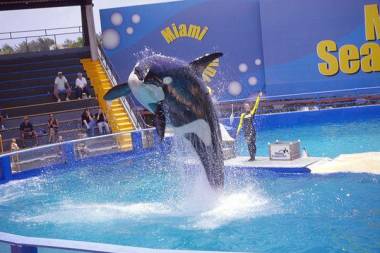 250818_lolita4_original