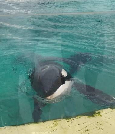 250823_insemination1_original