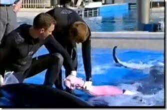 250823_insemination2_original