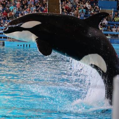 250823_insemination3_original