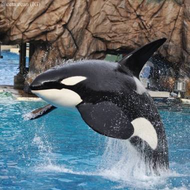 250901_nakai1_original