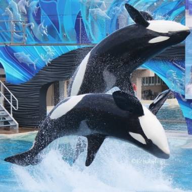 250901_nakai4_original