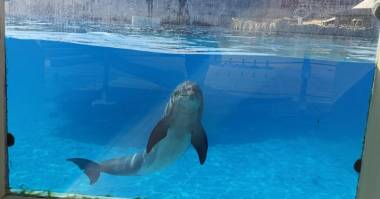 250906_dauphinsbeauval1_original