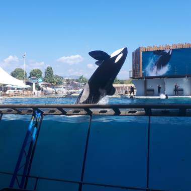 250909_transferts2_original