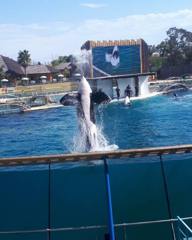 250909_transferts3_original