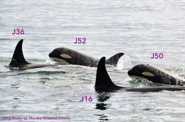 250916_deuilorque2_original