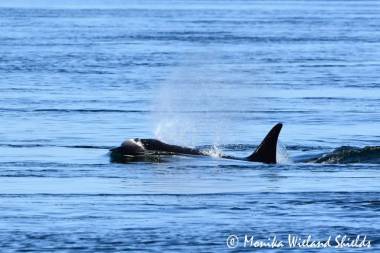 250916_deuilorque3_original