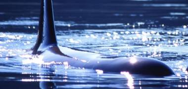 250919_luna1_original