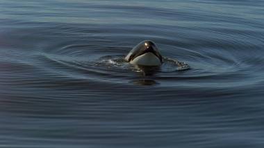 250919_luna2_original