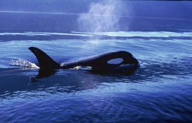 250919_luna3_original