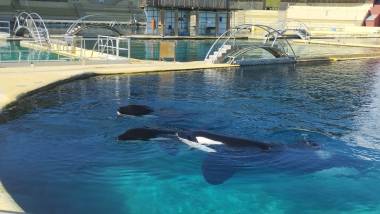 250922_morgan1_original