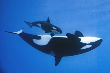 250922_morgan3_original