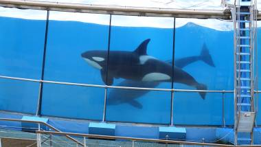 250924_asso3_original