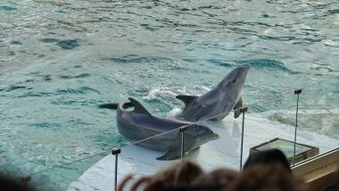 250924_asso4_original