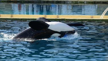 250924_assos1_original