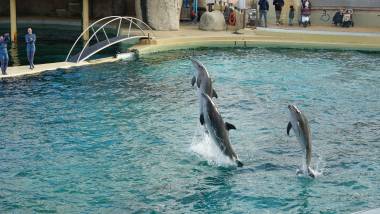 250924_assos2_original