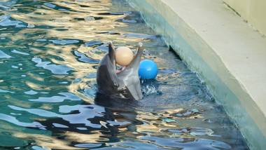 251009_espagne1_original