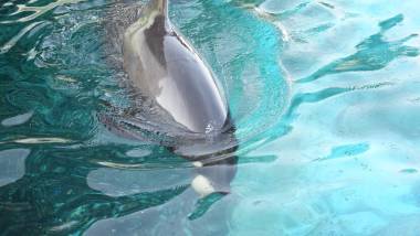 251009_espagne2_original