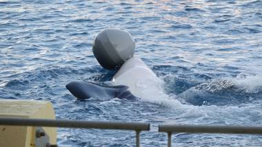 251009_espagne3_original