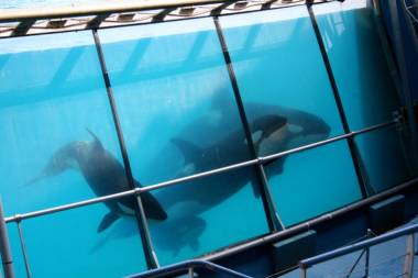 251012_valentin1_original