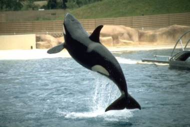 251012_valentin2_original