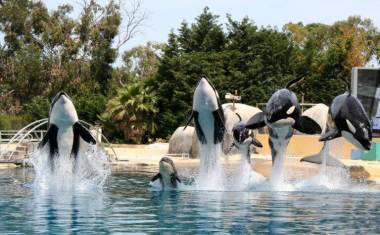 251012_valentin3_original