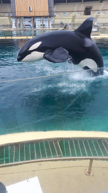 251016_moana_original