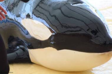 251019_loroparque1_original