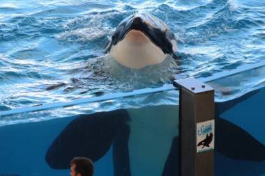 251019_loroparque2_original