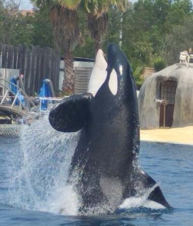 251022_marineland1_original