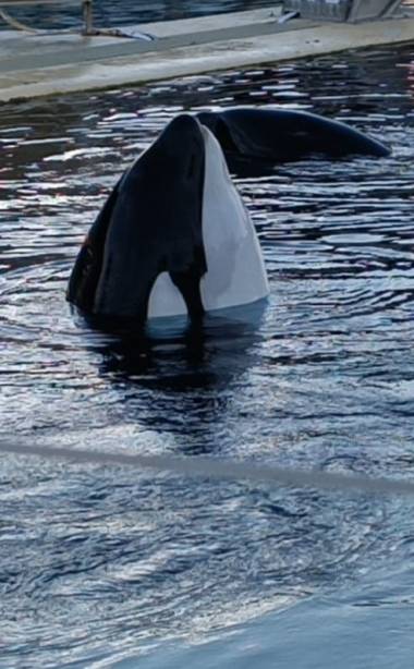 251022_marineland2_original