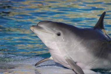 251022_marineland3_original