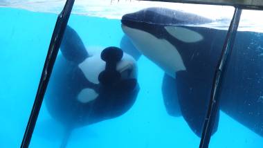 251031_marineland3_original