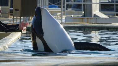 251105_marineland1_original